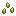 Kumium Seeds