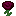 Scarvalite Flower
